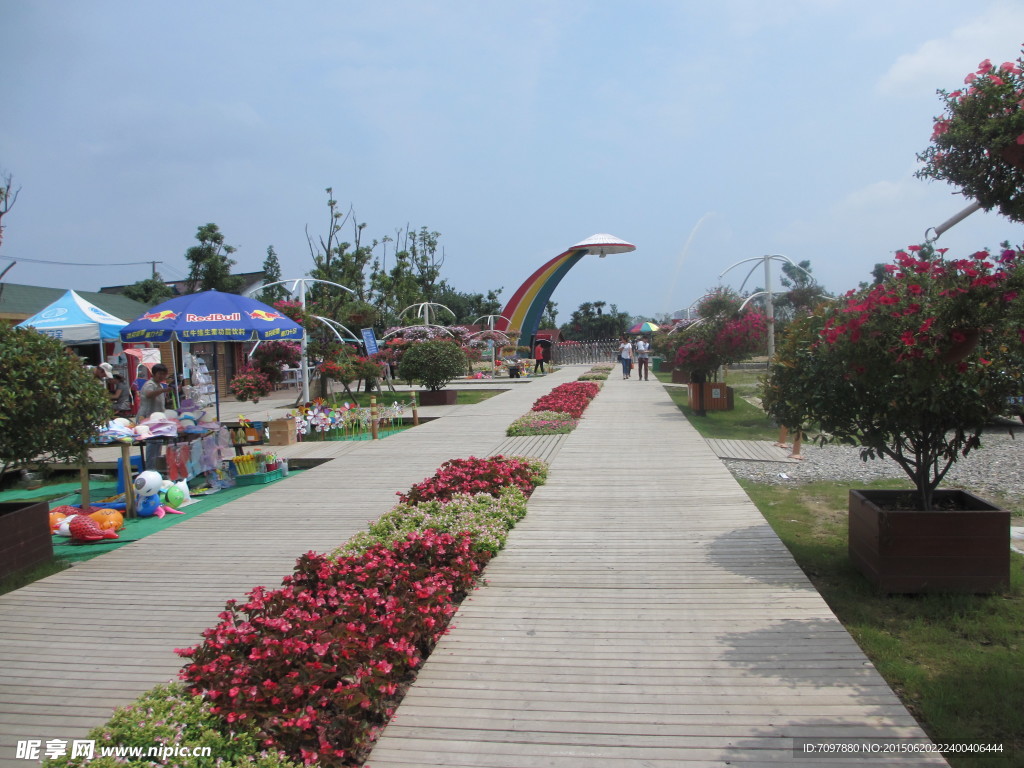 周浦花海     旅游景点