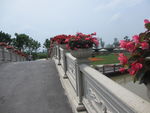 周浦花海     旅游景点