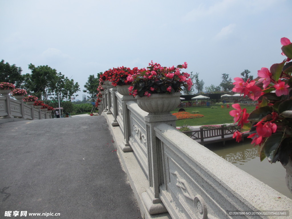 周浦花海     旅游景点