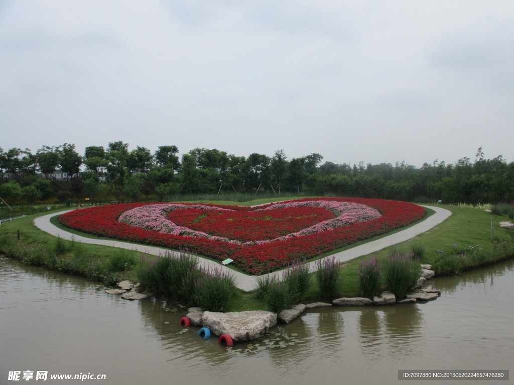 周浦花海     旅游景点