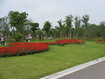 周浦花海     旅游景点