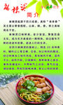 麻辣烫的简介