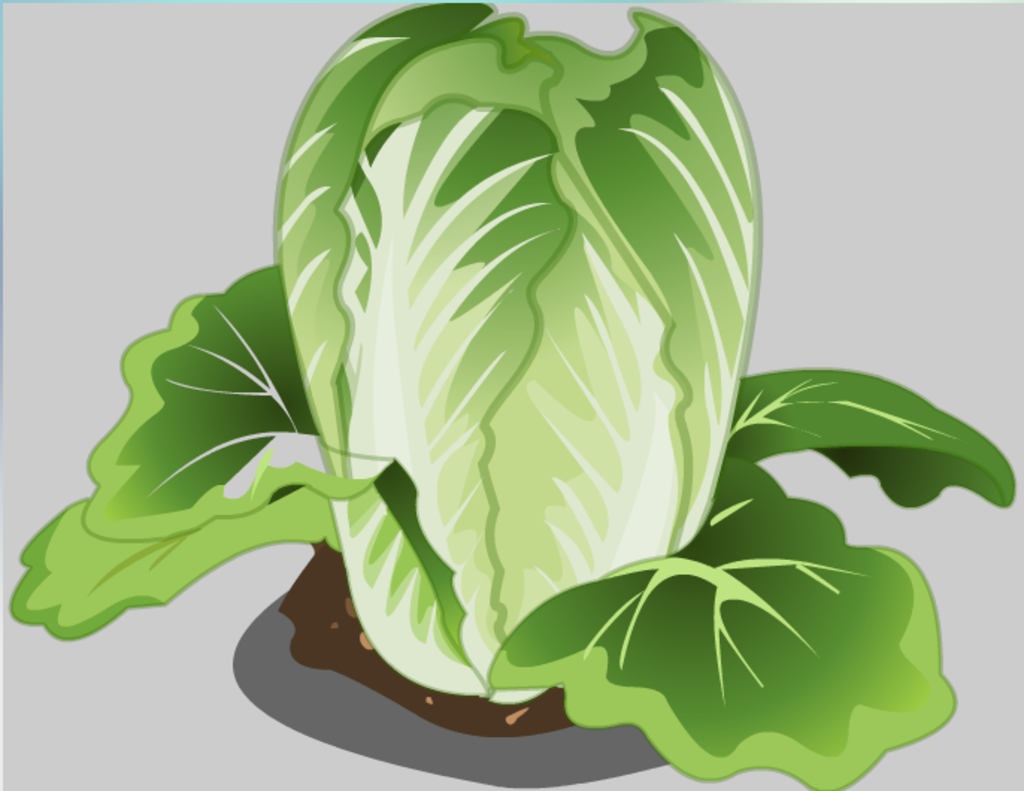 flash蔬菜动画
