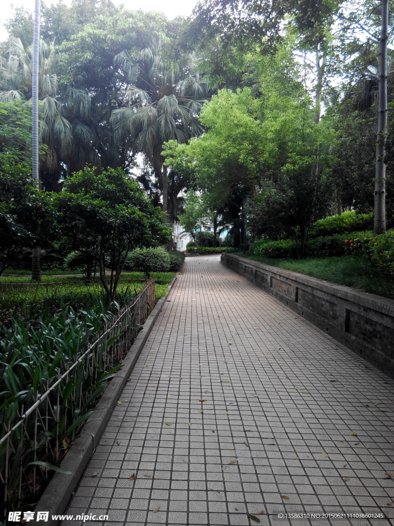 风景如画