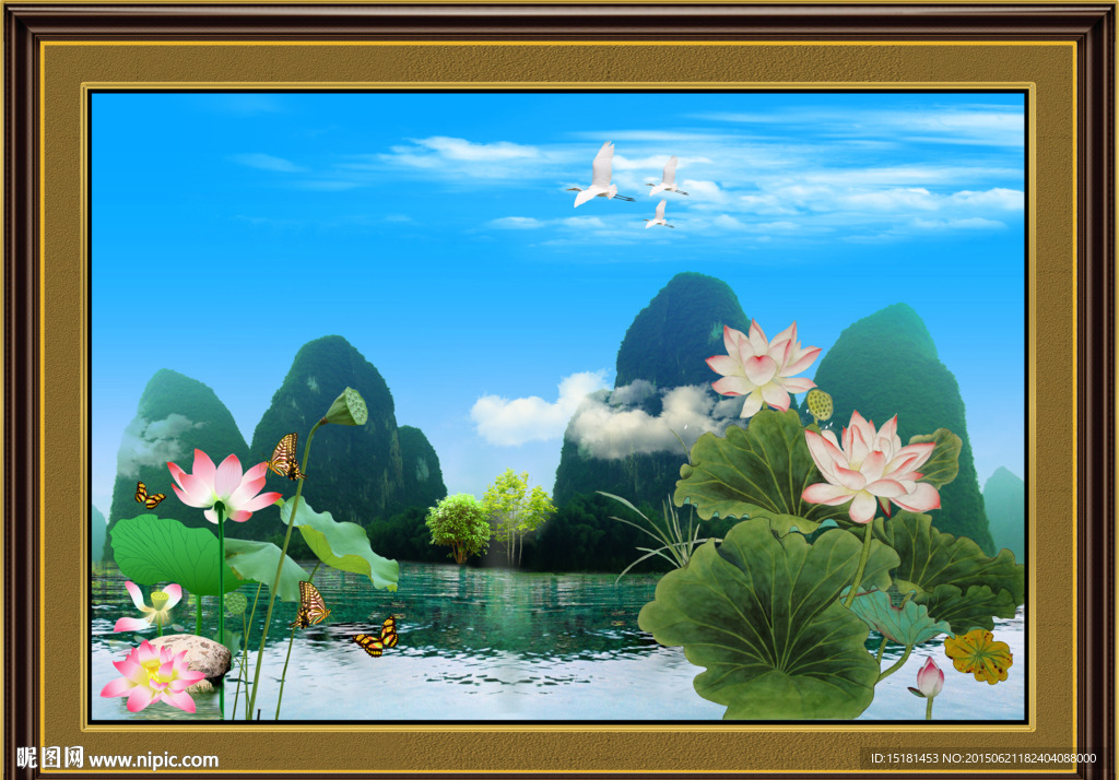 荷花风景
