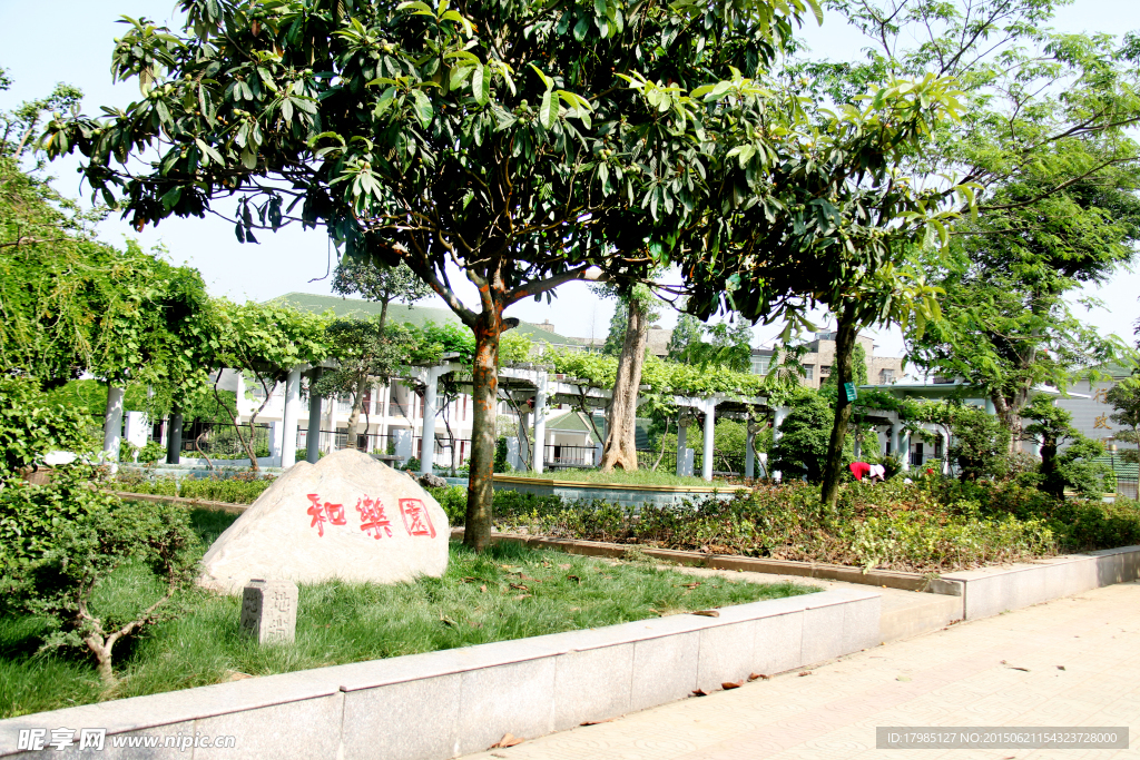 校园绿色景致