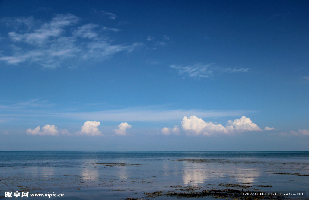 青海湖