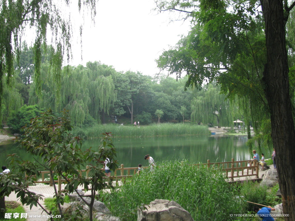 绿化景观