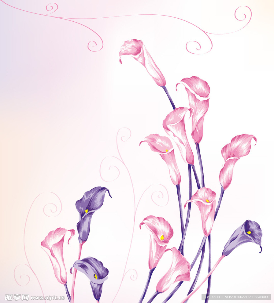 花卉图案设计