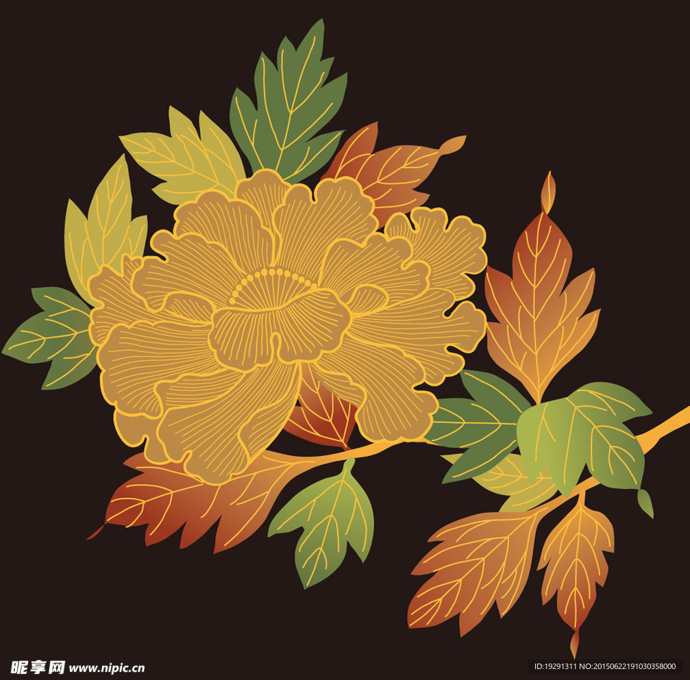 花卉图案设计