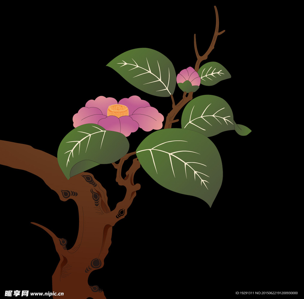 花卉图案设计