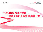 奥迪300万车主挂画