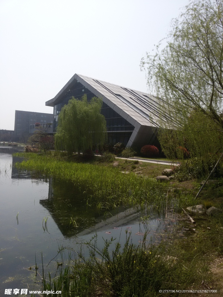 软件园