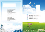 企业画册内页
