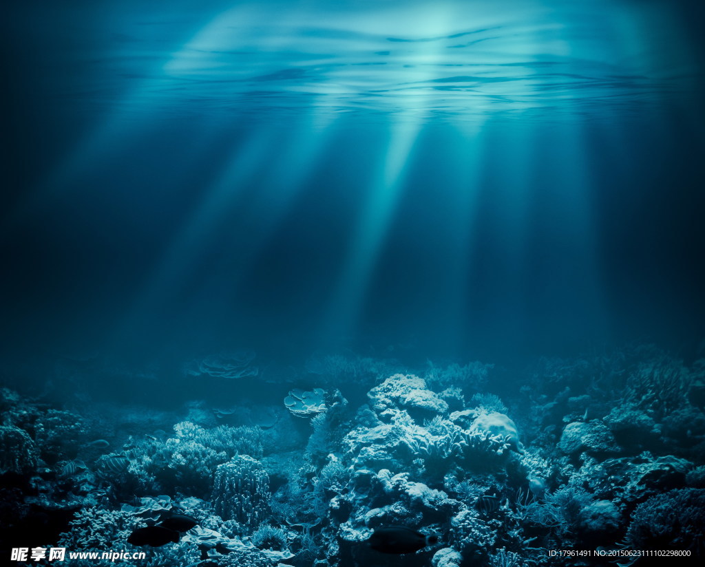 海底世界