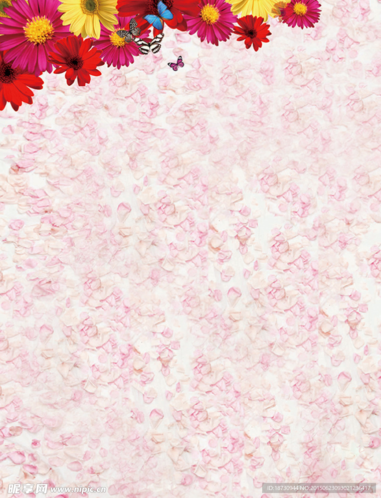 花瓣背景