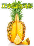 菠萝海报