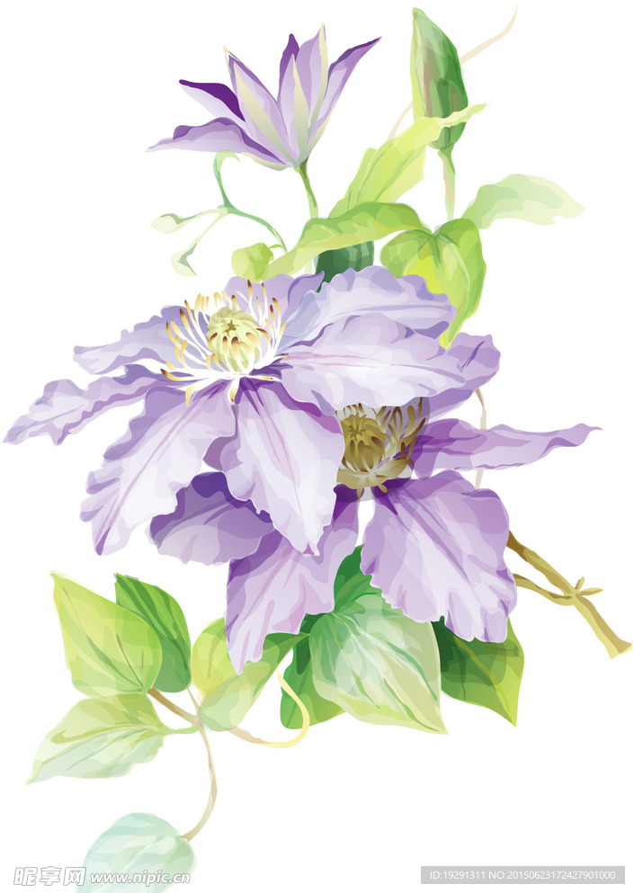 花卉图案设计