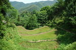 大山梯田