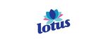 荷花logo