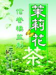 茉莉花茶