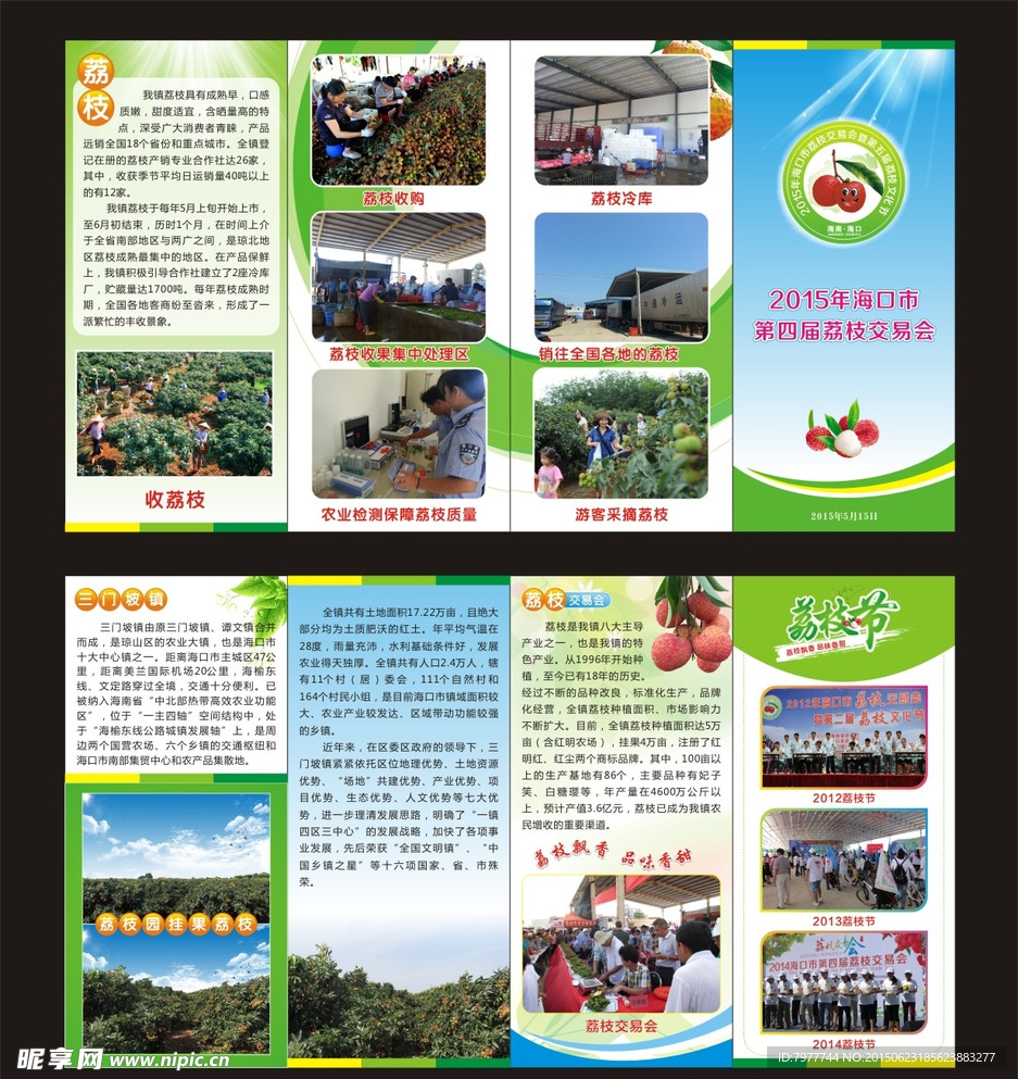 荔枝  折页