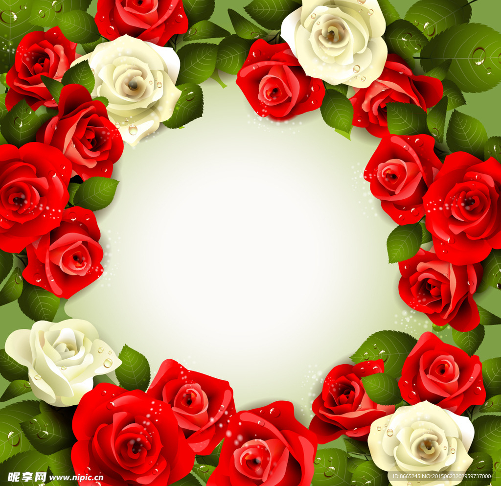 玫瑰花