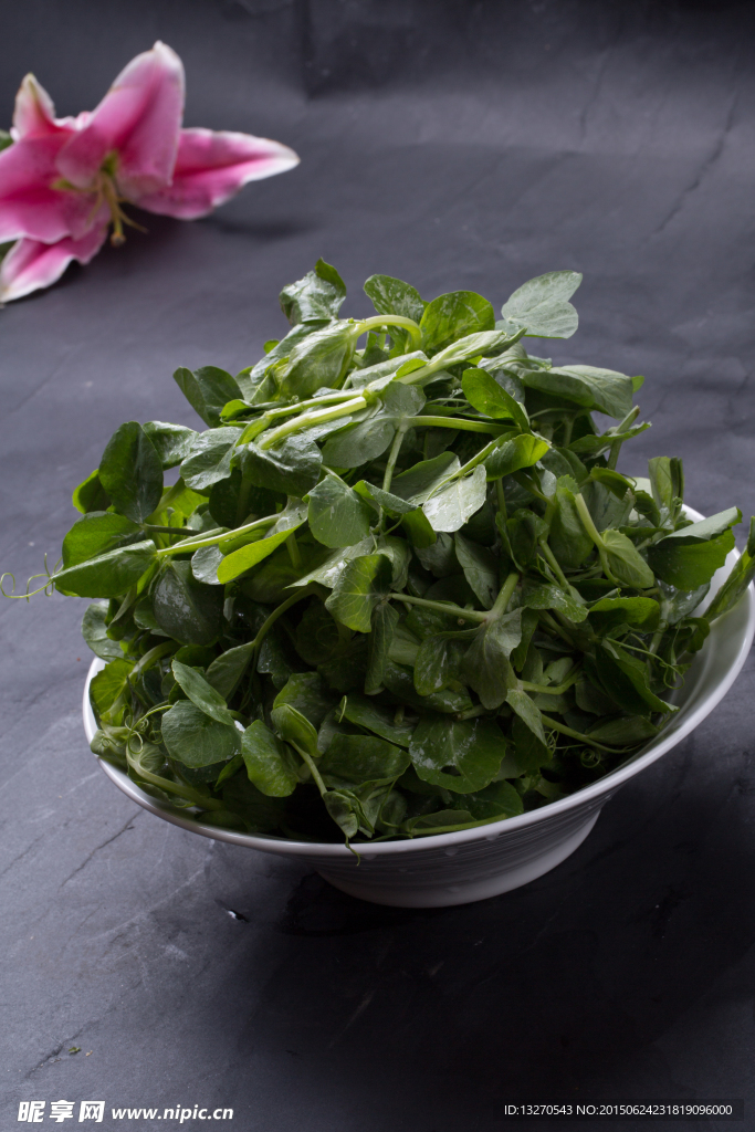 豌豆荚