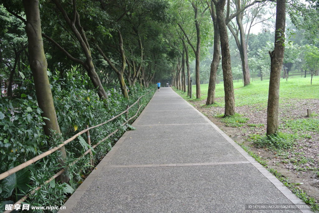 公园上山的道路