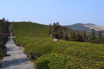 福泉山