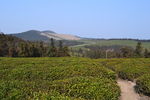 福泉山