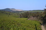 福泉山