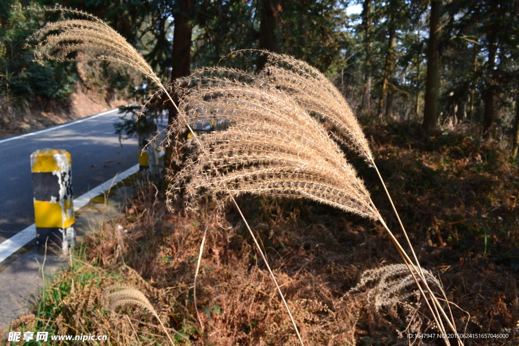 福泉山