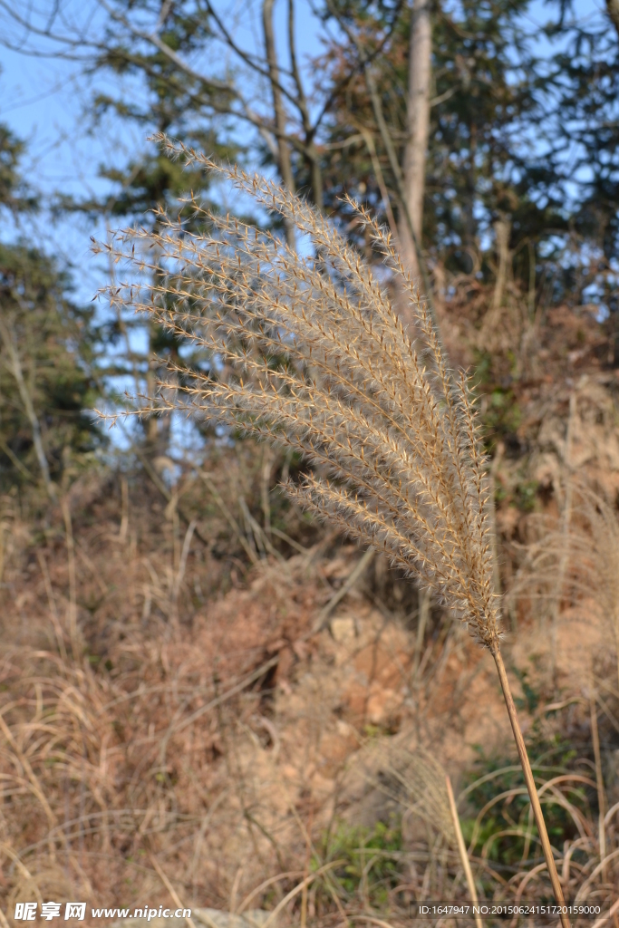 福泉山