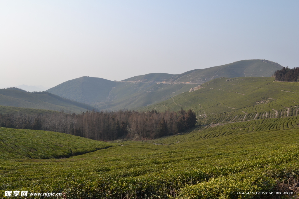 福泉山
