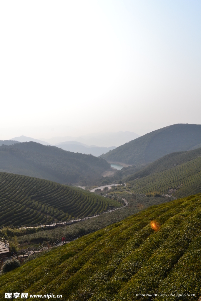 福泉山