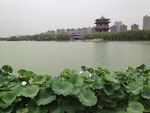 西安大唐芙蓉园