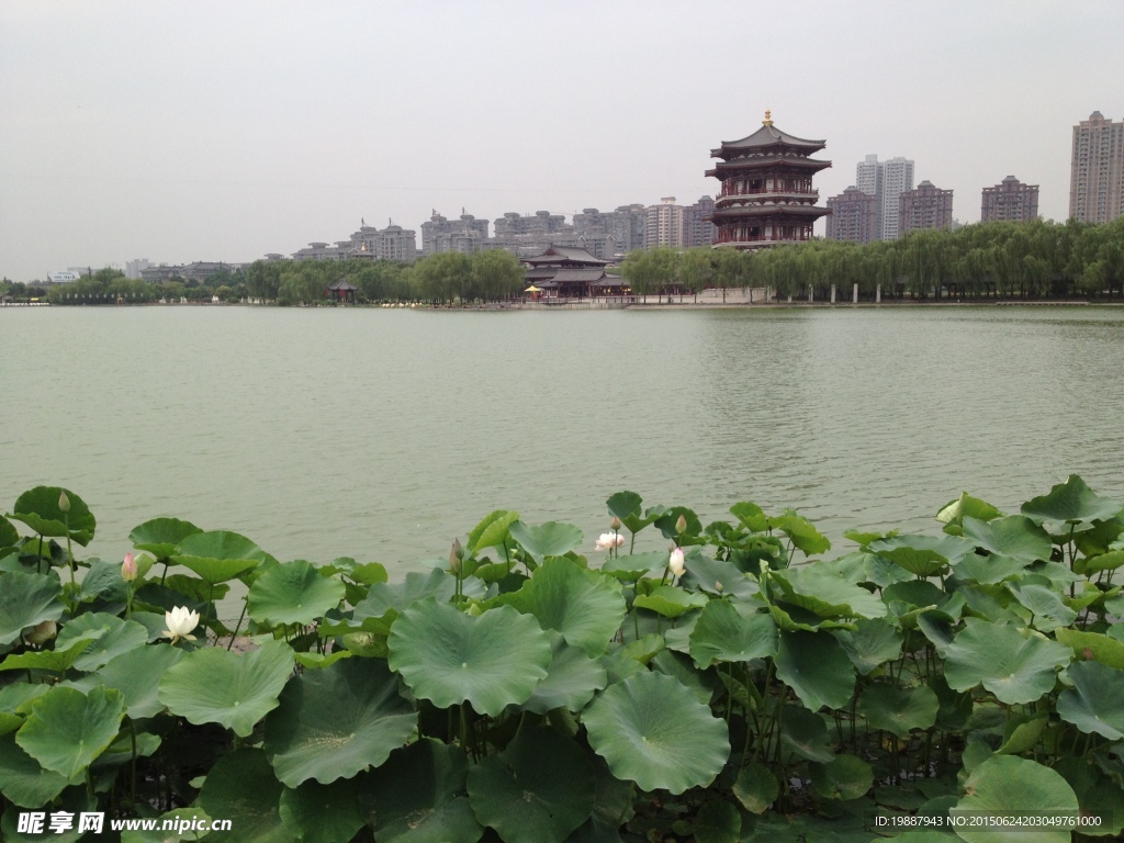 西安大唐芙蓉园