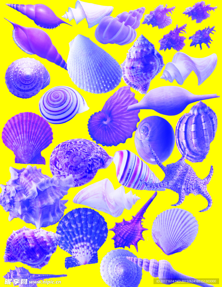 海螺