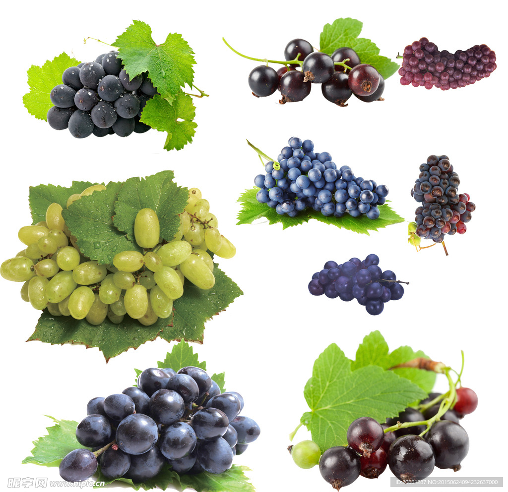 提子和葡萄的区别 提子和葡萄哪个更贵-世界十大之最