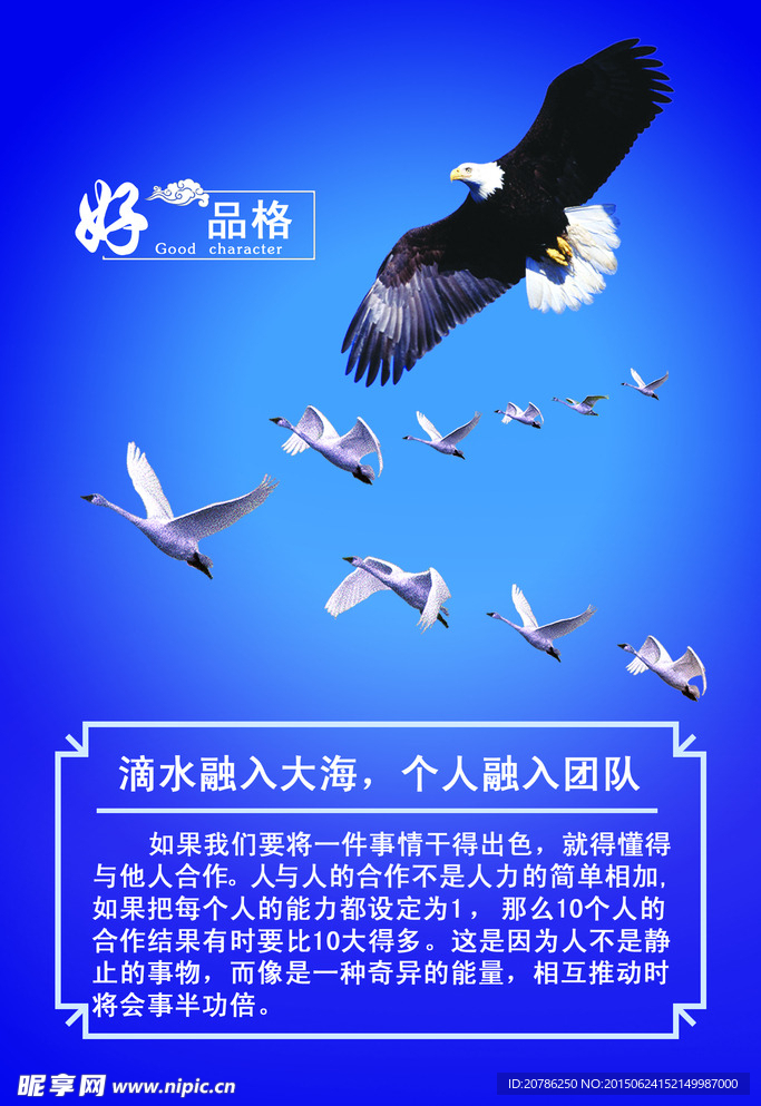 企业文化展板
