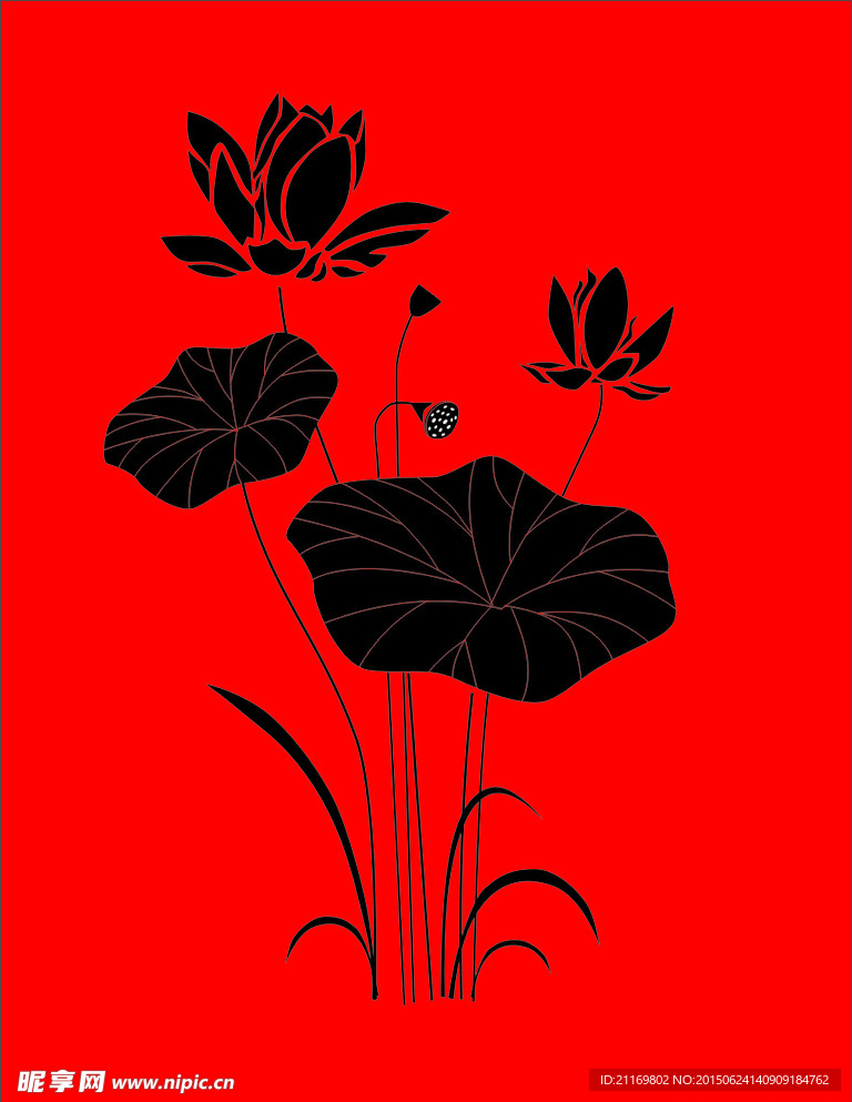 荷花