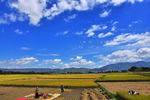田园风光