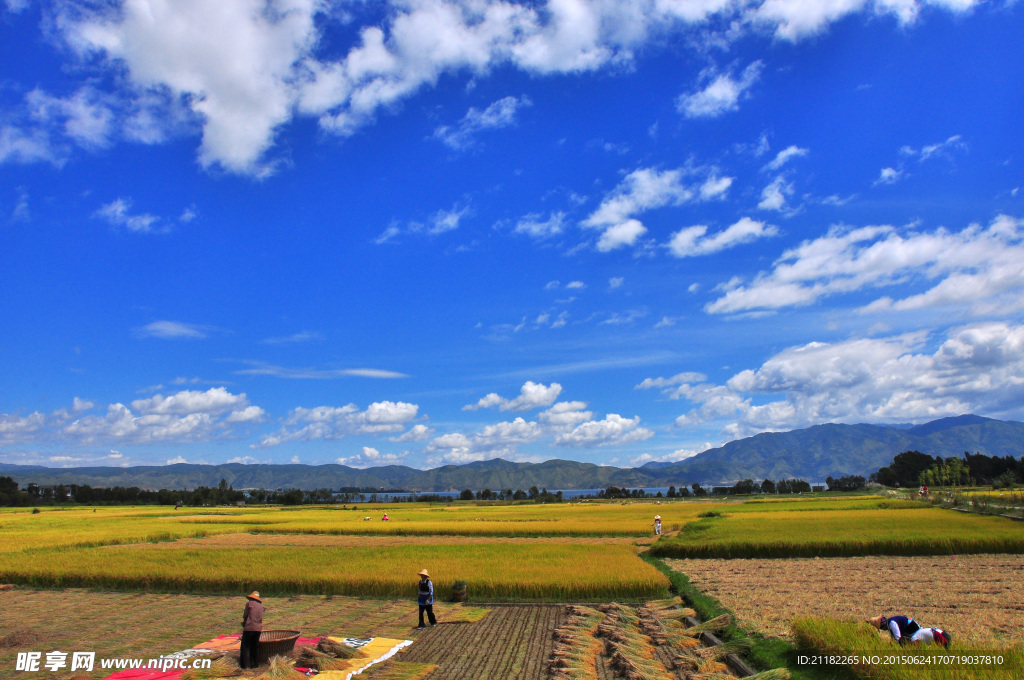 田园风光