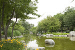 大望京公园