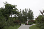 大望京公园