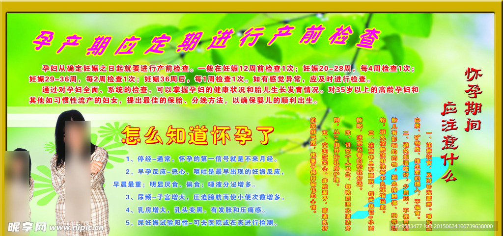 孕产计生展板