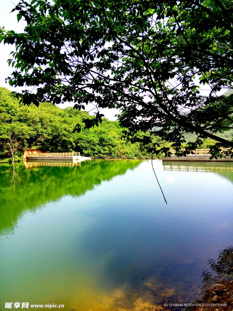 池塘