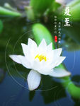 夏至