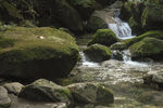 山泉